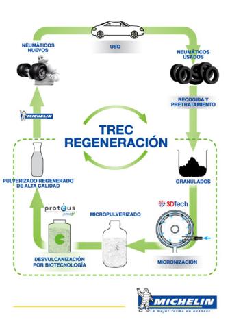 TREC Regeneración