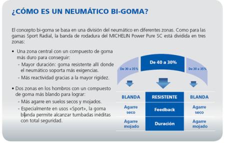 ¿Qué es el sistema bigoma?